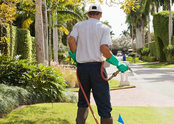 About Bascom OH Pest Control